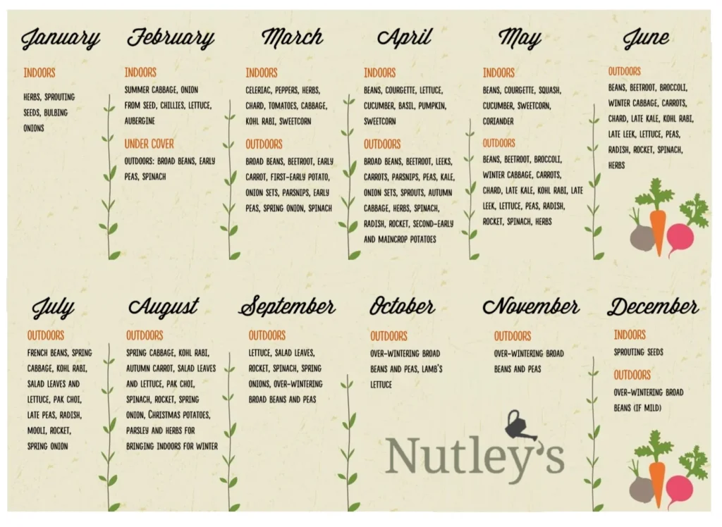 a sowing calendar showing which seeds to sow and grow each month