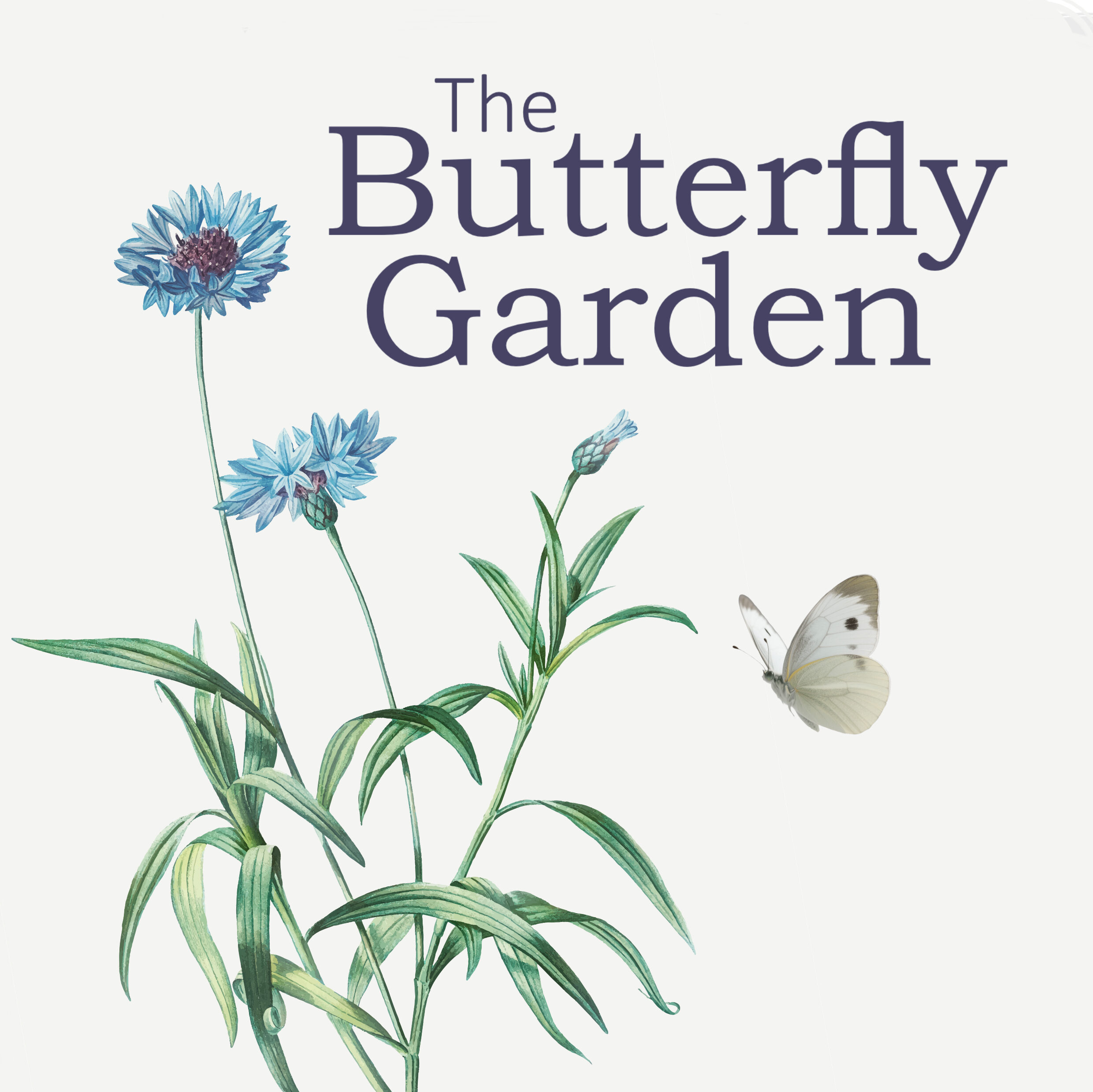 The butterfly garden logo with a butterfly and upright stem of cornflowers