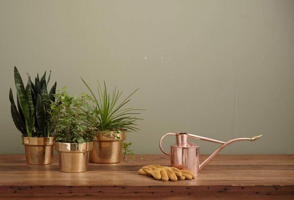 image with 3 gold or copperf plant pots and a watering can against a green wall on a wooden table