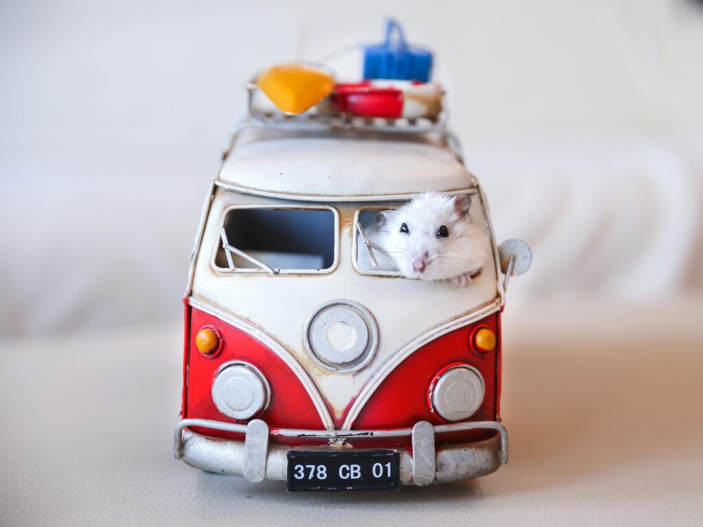 VW campervan with surfboards and a hamster at the wheel slow living